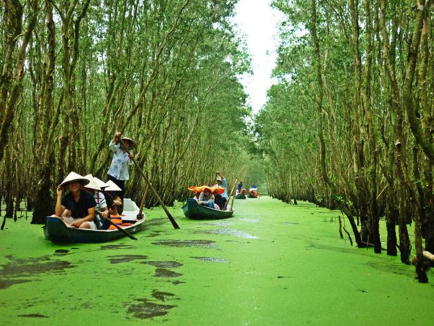 Xeo Quyt forest Xeo Quyt forest