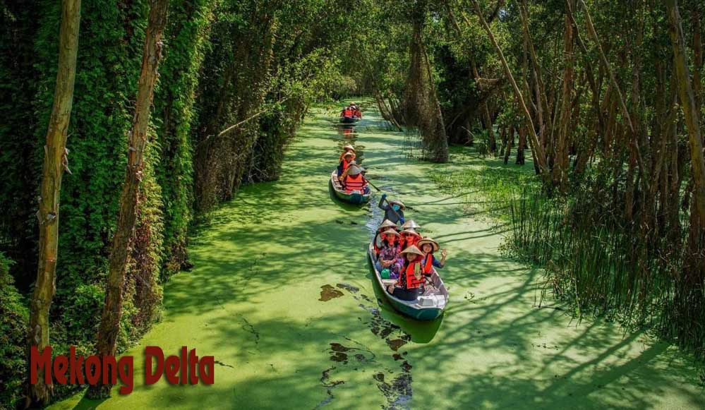 Dong Thap turns the flood season into a tourism experience Dong Thap turns the flood season into a tourism experience