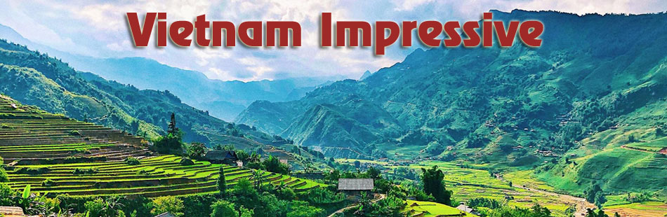 Sapa rice terraces